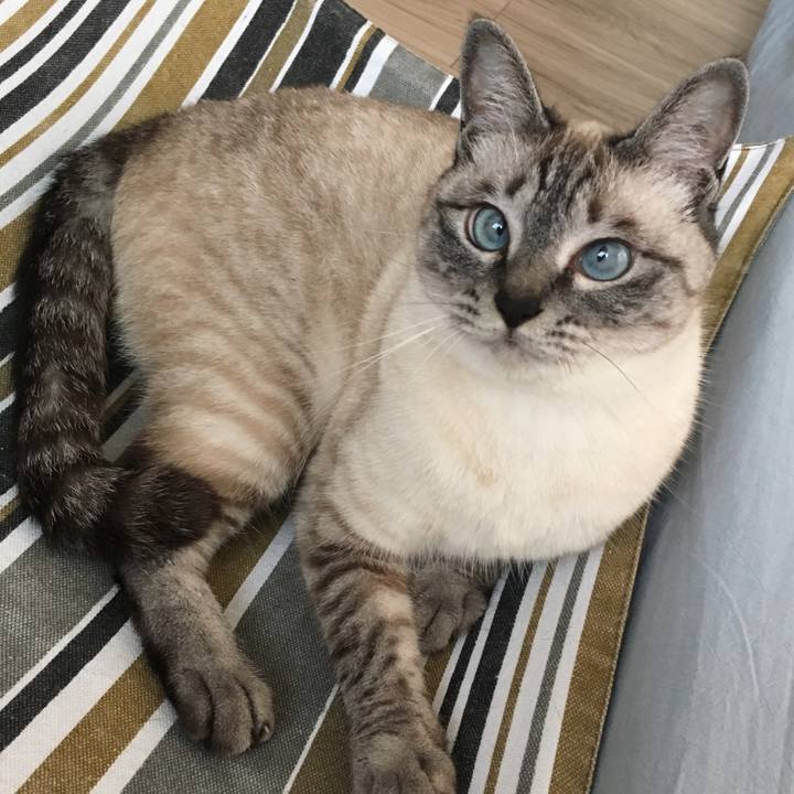 650a03eb 2a76 45b3 8bf1 5be734a12e06 1591166935155