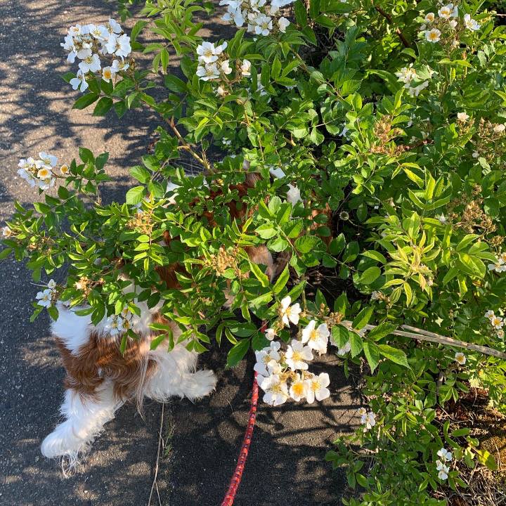 650a05fd 79e8 4712 9cd5 0562037f982c 1590789640285