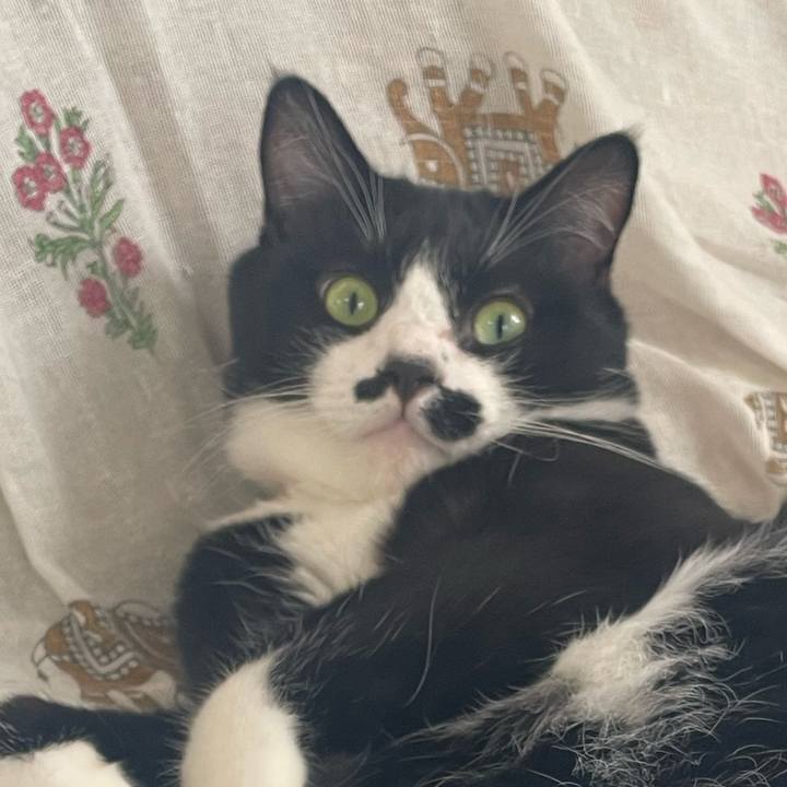 650a0b45 3924 4755 b289 32eedb542c70 1758754138172