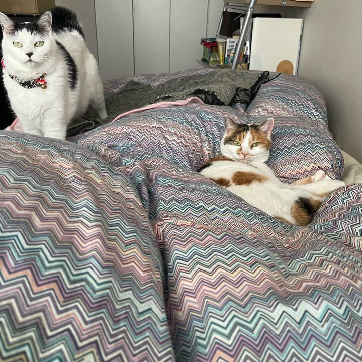 650a2a38 46b1 40dd bec3 5d5fa92eedfb 1705205845335