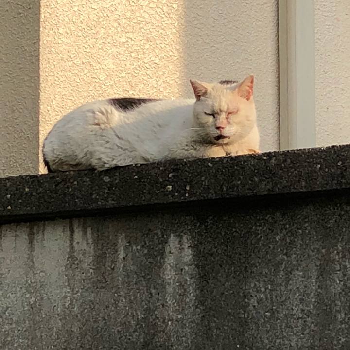 650a4cf3 e089 4c25 99af f0a2be37267b 1522831947039