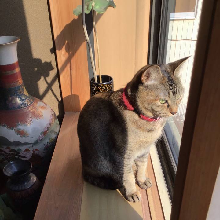 650a6dba df38 4b4e b5d1 5a9187e4aa14 1612661226988