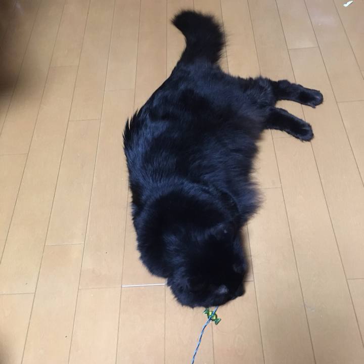 650a81ae 466c 455b ae22 340b6b977412 1525454377652