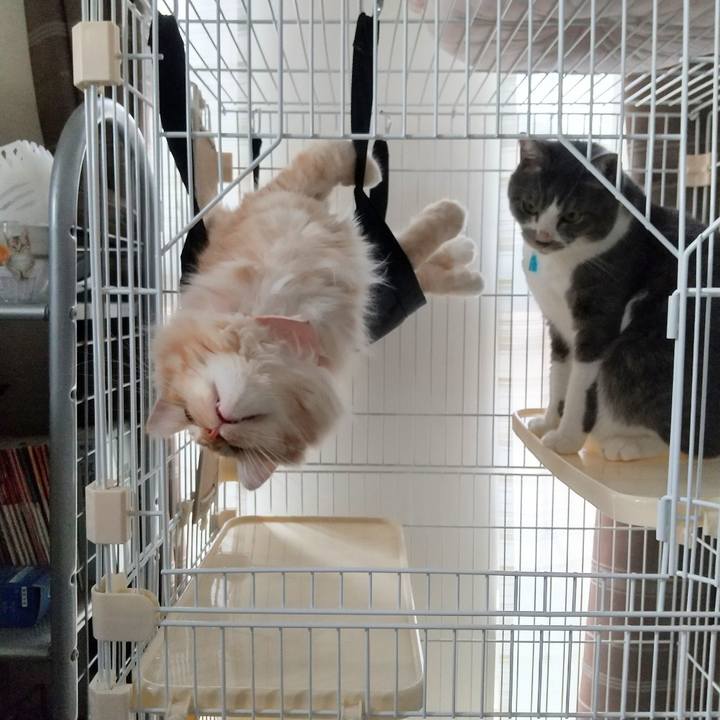 650a82a7 b4b9 4b6f 8384 8f5b16004282 1629589657928