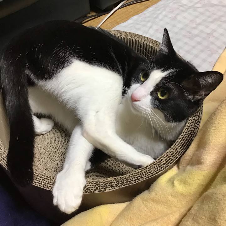 650aa76f 19b6 4ee0 b235 a27f01e149f8 1706435748076