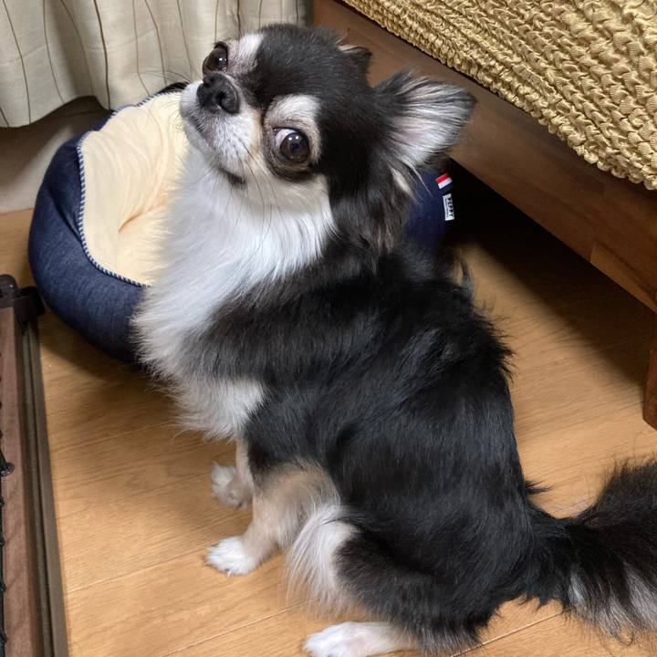 650aba4e f58f 4ccc b3fd 57e086dd26fc 1658149189762