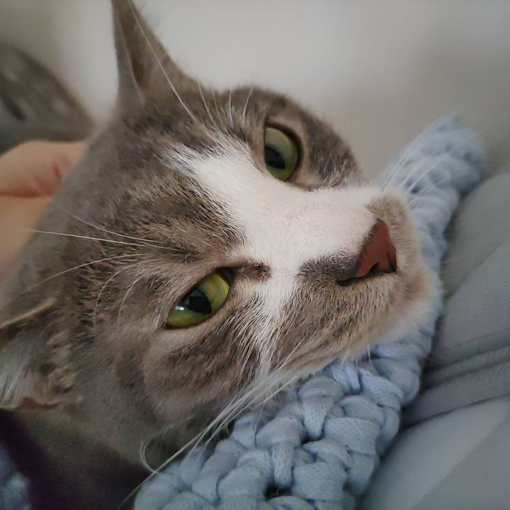 650abcf6 0bd8 40e3 818f af4a86e8b6f1 1683945457695