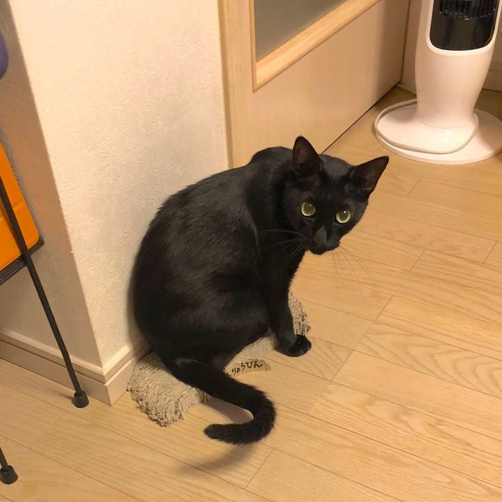 650ad11a a5e6 4672 af23 c6fc7192f7bf 1533213995362