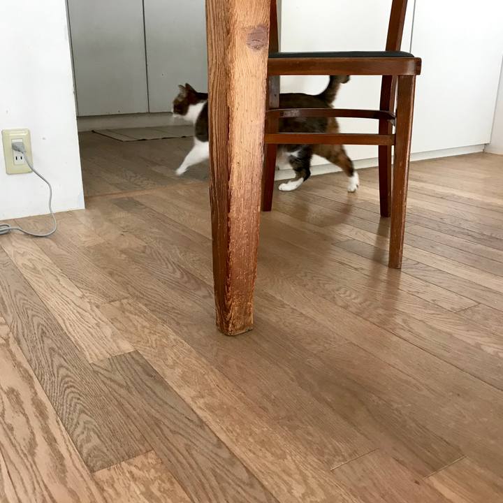 650ade30 efb9 4501 b994 2d1655b03a78 1550284453295