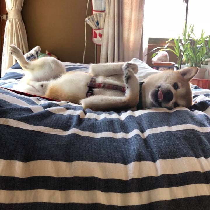 650b01dd 02c0 4427 a0a7 ec00889ac30f 1533632968560