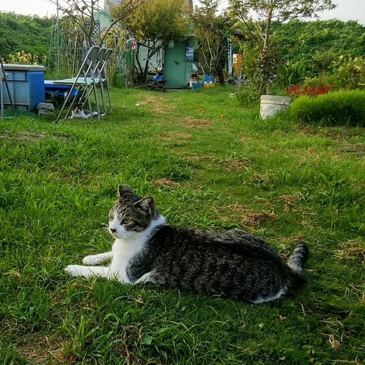 650b3b19 9722 45db b4bd 1b2a4d1dcbdd 1564831905403