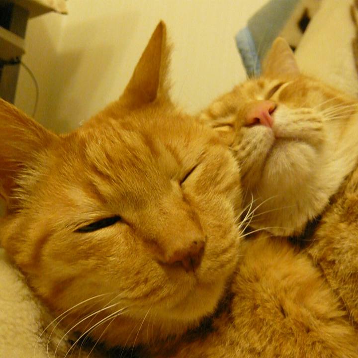 650b62dd 7b57 4b54 8471 700eb7bb4e43 1552309144592