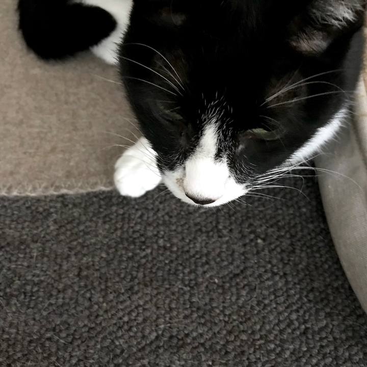 650ba473 a2a3 4219 b236 9373023c393d 1552457173378