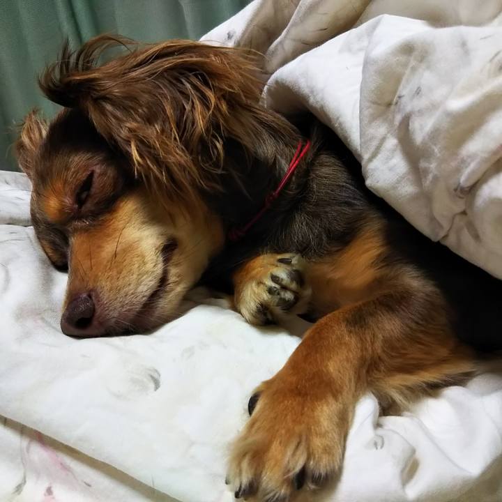 650c1921 5dea 4107 8098 af206507c456 1535460541648