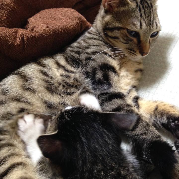 650c29df 45b2 4f86 aeb6 a76ef24f1100 1522281351857