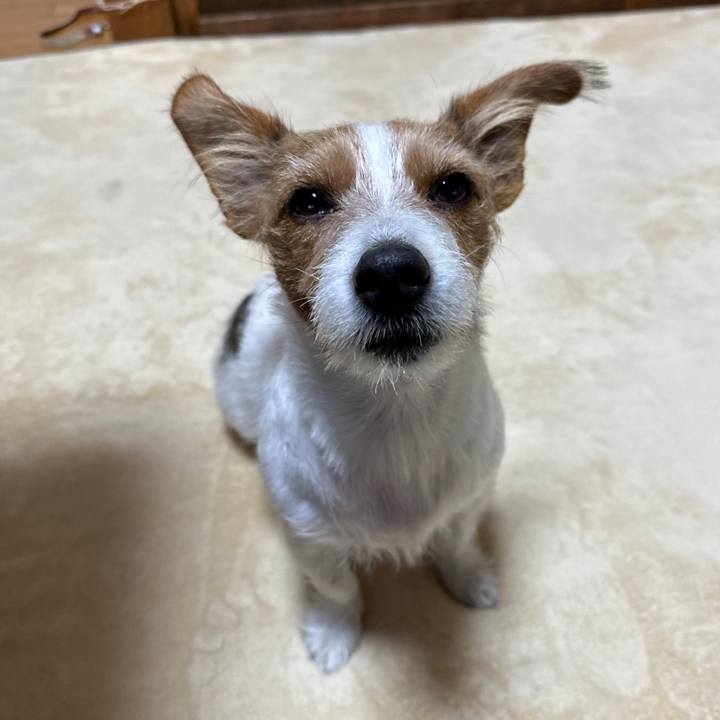 650c9b7e 880e 47da bb00 a38a21bf1a0a 1763071826392