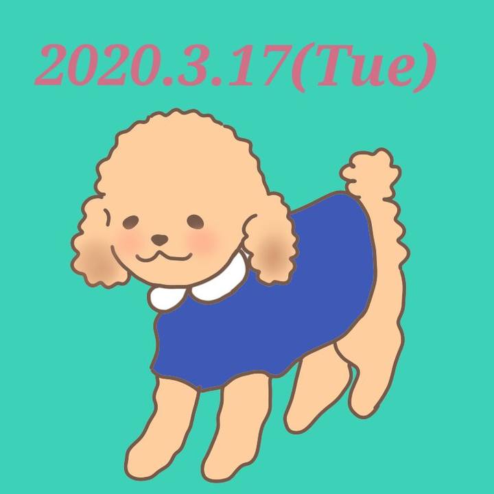 650cae0e bd8d 499d a223 c6529334a3eb 1584455691679
