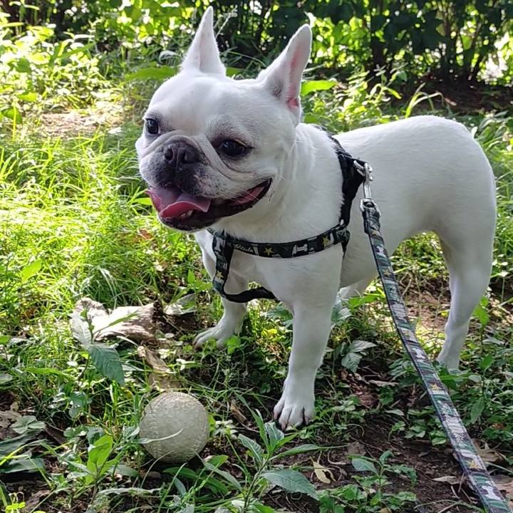 650cfe24 979e 4933 a177 948aac7678b8 1656494088834