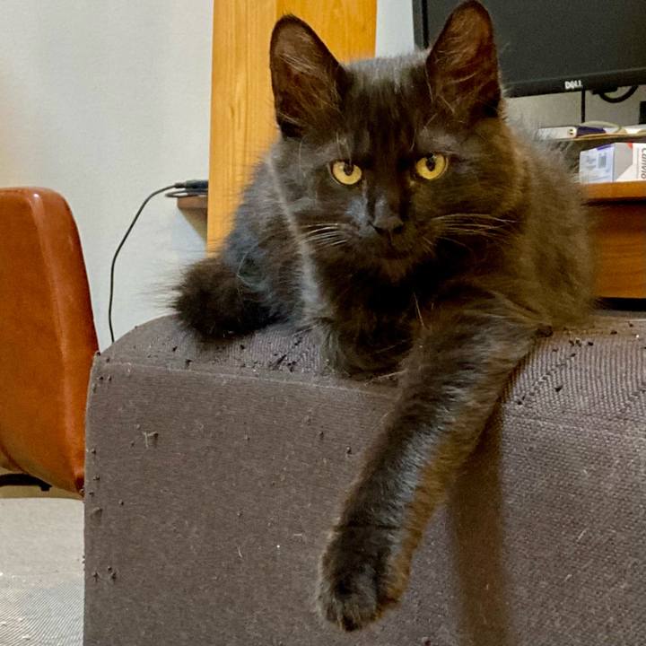 650d160f b835 4cbf 8947 cd765dd3a2d3 1702718672285