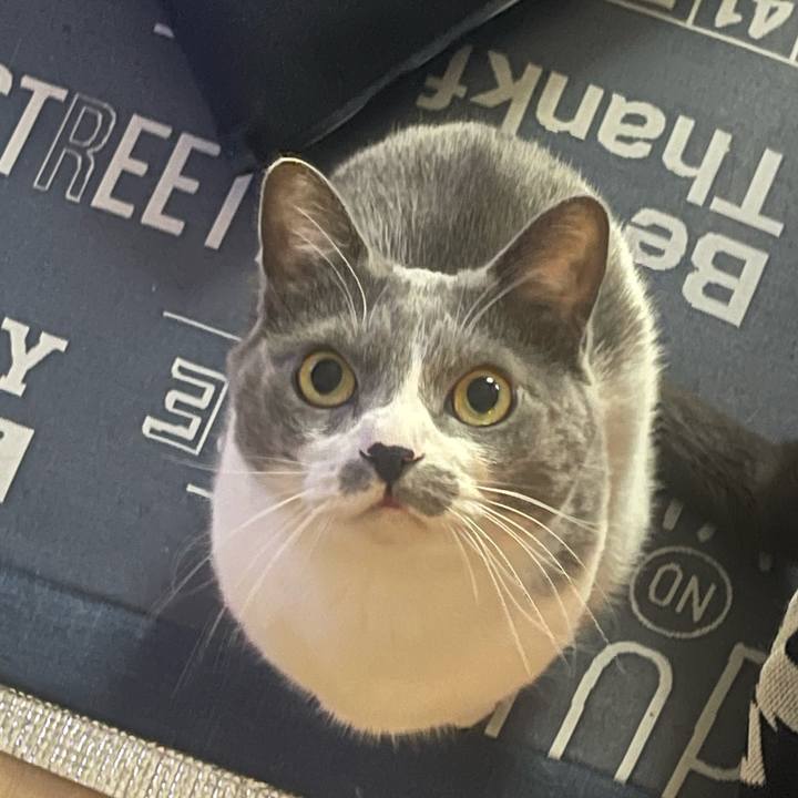 650d2c20 c298 468c 8248 a770c1e84546 1705803241096