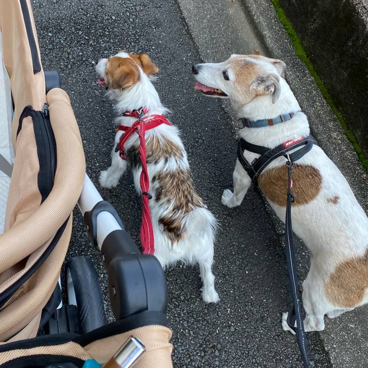 650d4399 fb3d 44cf 9f26 bdabd4c48de1 1632386605406