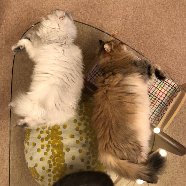 650d4a41 d338 46ac abdd 2304290a85cd 1537099764093