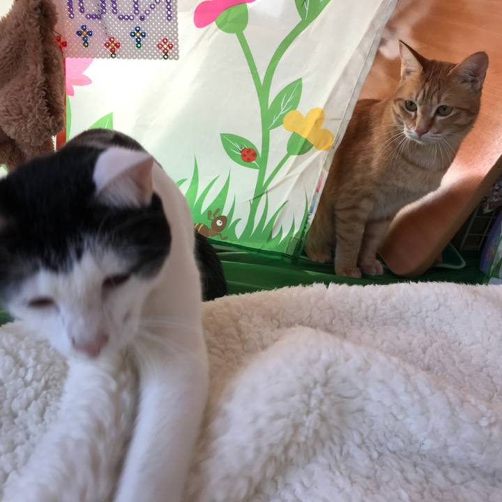 650d4df2 103c 4410 8b8c ba8bbed1f1b9 1518826774005