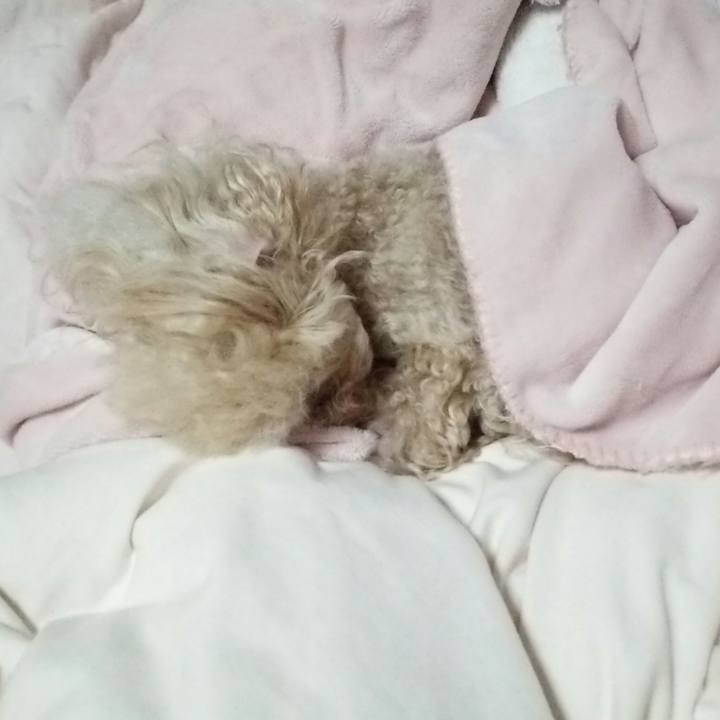 650d6567 52da 4780 8223 40ea7e4853b0 1538746166893