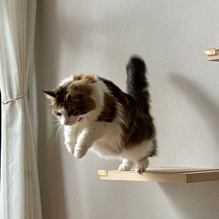 650d65cf 6bf6 4d40 8f10 808bd047adab 1773907747649