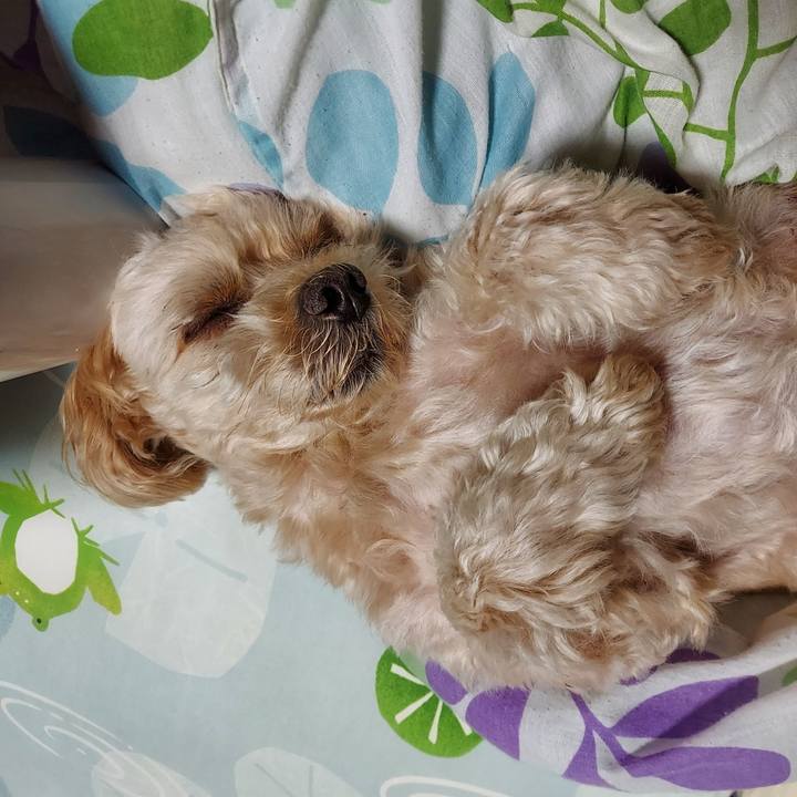 650d6c9a ee38 4215 adb7 5b654c60329a 1634475928192