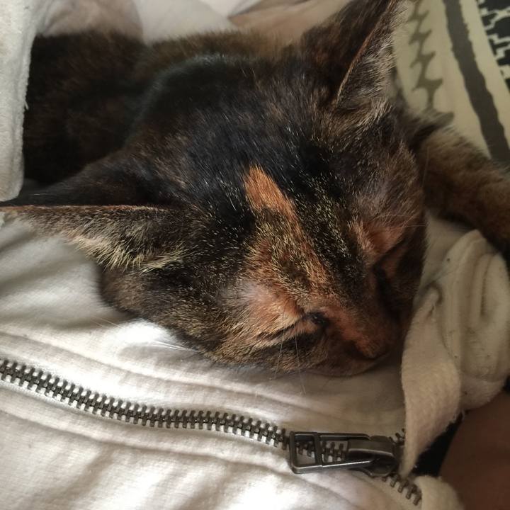 650d8a20 4699 4e1d 9187 308157293caf 1571268051254