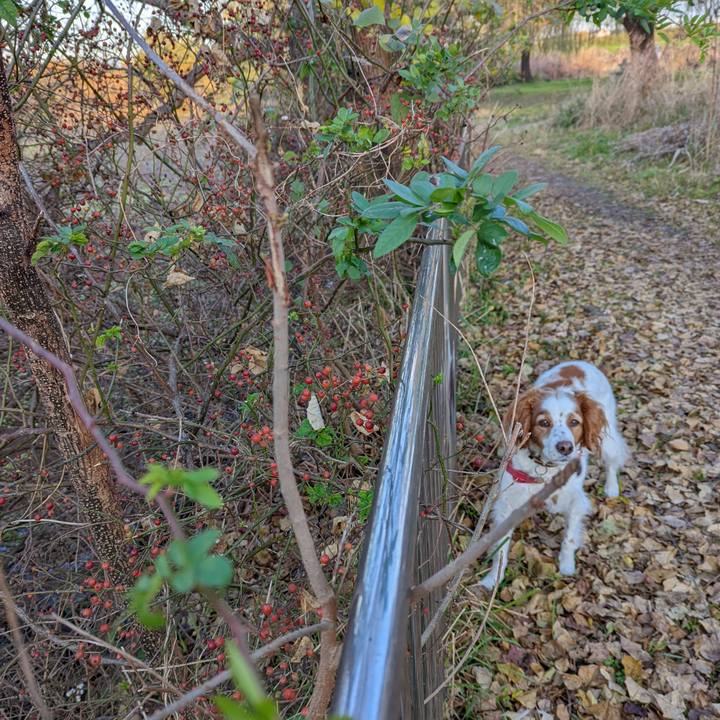 650d9059 c01f 42fe 8bd4 6f5302535c33 1638605686037