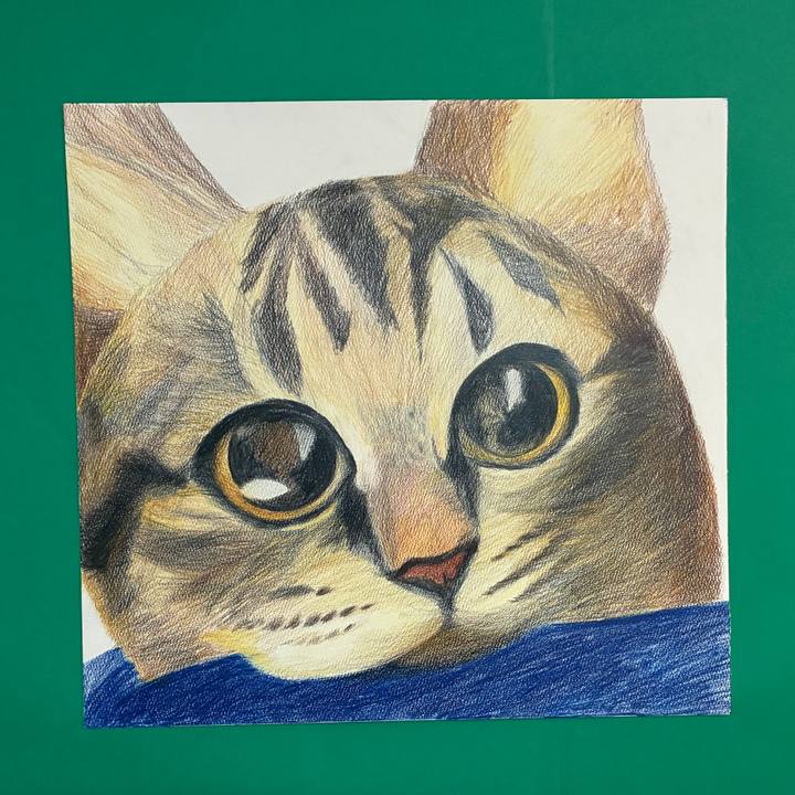 650dba89 da9a 419f 8e43 c112e181e248 1772614936100