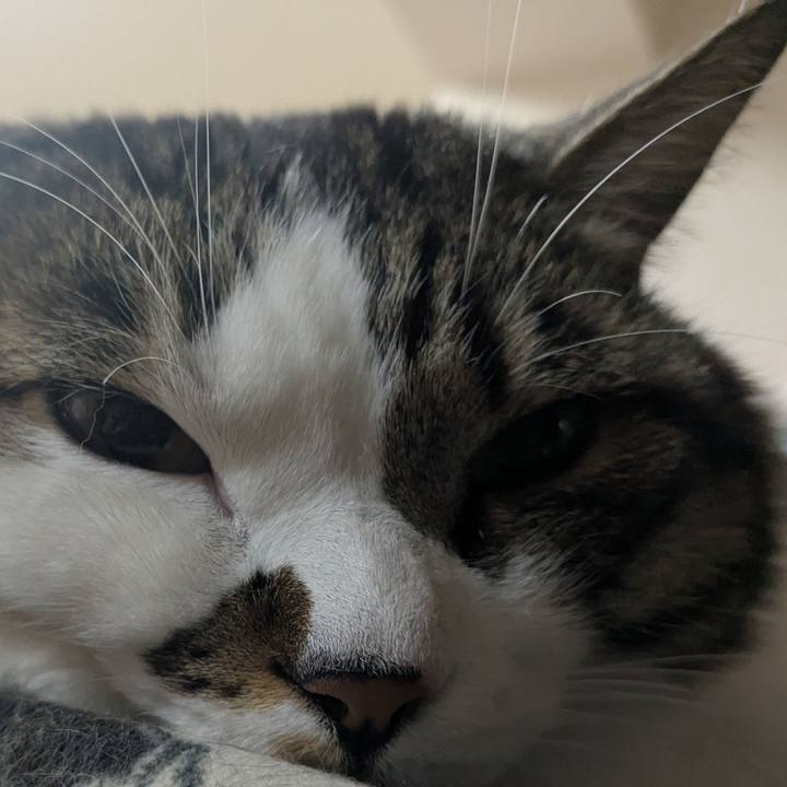 650dee5c 911f 4eaf ab47 ad88c62a750f 1773833050048