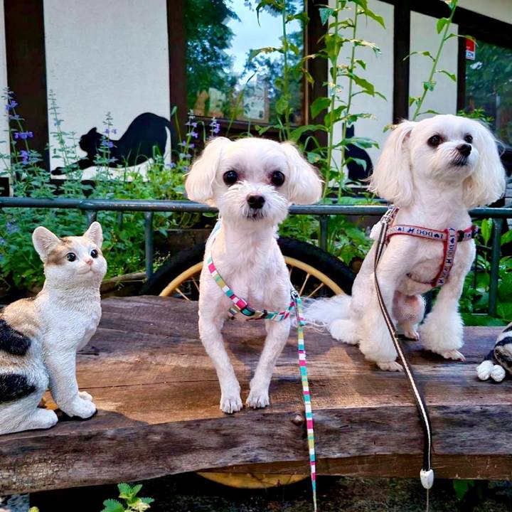 650dfb6c 2730 4e6e b327 dbbb917c74a1 1656300055961