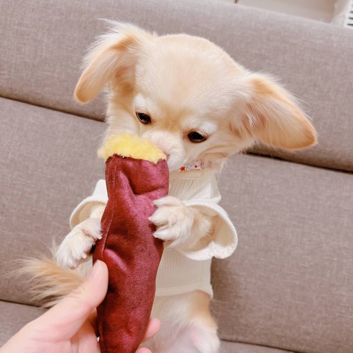 650e2ae4 0b05 4825 bf73 7b2fa61e1aa3 1675500191081