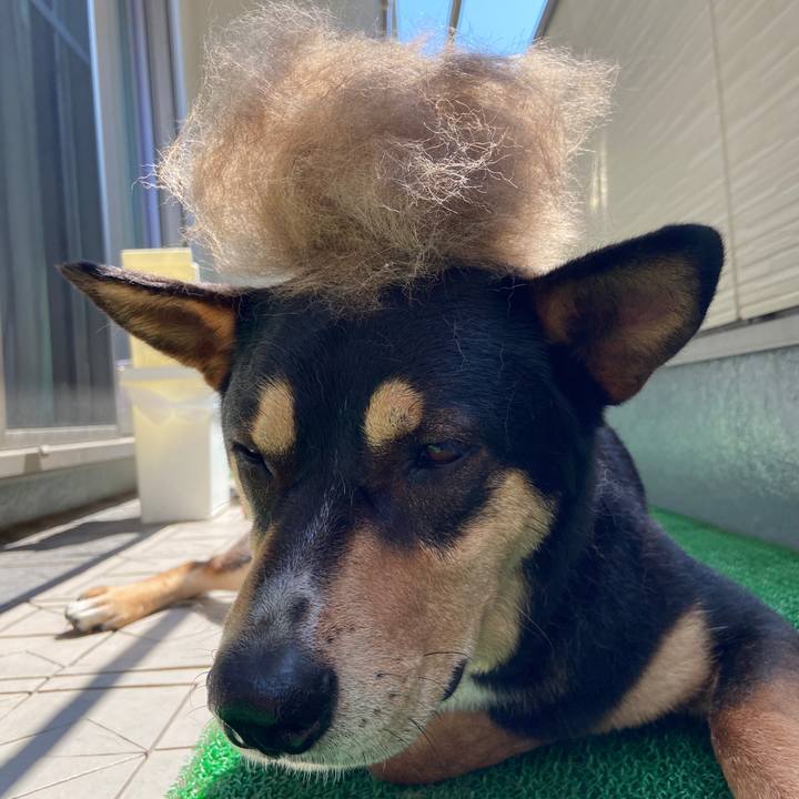 650e39ff c012 49aa 967f 0b57bd82b2a4 1622452586369