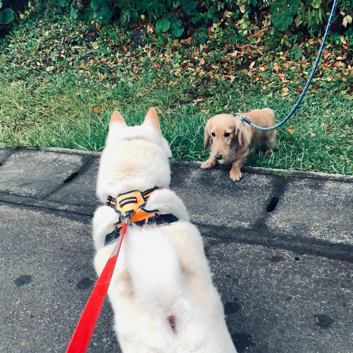 650e530c 9ac2 4812 8b97 0dfc0dd8501f 1635977490744