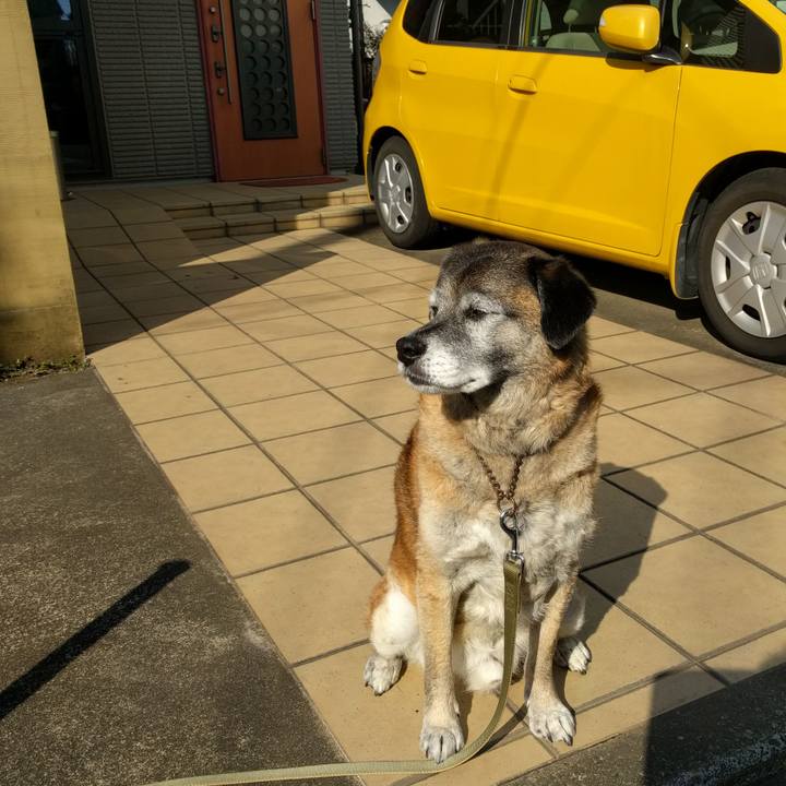 650e5d28 4724 4a8f b0bc 518571550a80 1551506271370