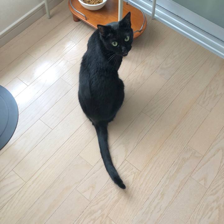 650e703e 0a9d 49ba 8fb2 ce37c60eb4f4 1573742439951