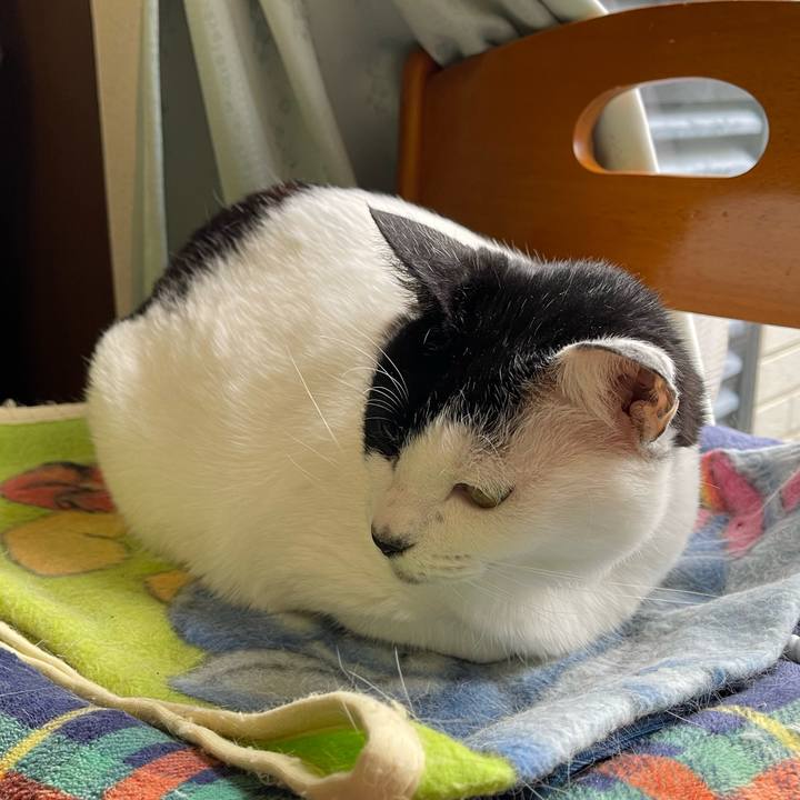 650ea5e0 bd20 446b 8377 f5618d75d20a 1764543271923