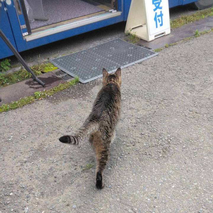 650eb528 6eae 40bb ba52 15824c263d86 1717734266491