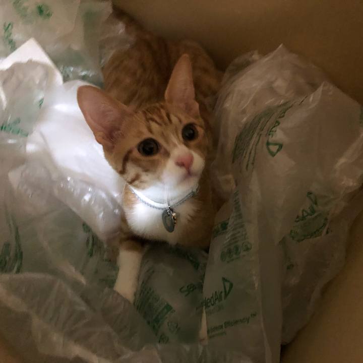 650ebfff b4cf 4e4d b552 4ac66bfbcc43 1545489799453