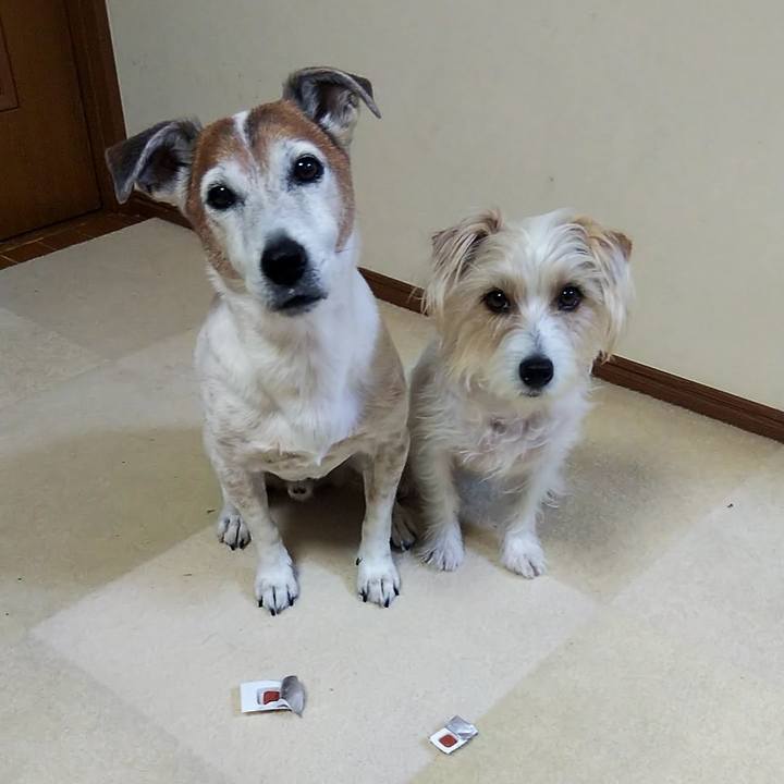 650ee4f0 ac89 48e0 9a2e 1837dc408304 1555020665665