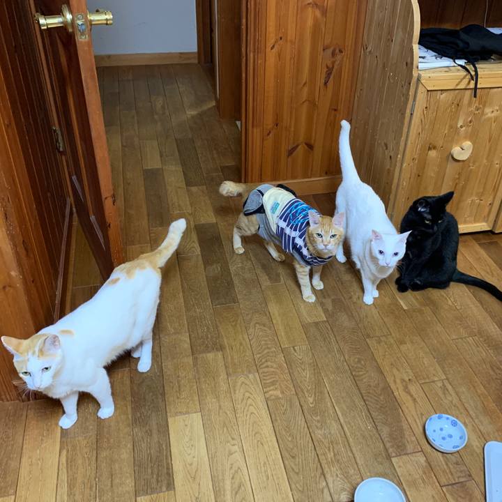 650ee6a8 13e3 4133 ae24 c42acb78a789 1650549674197