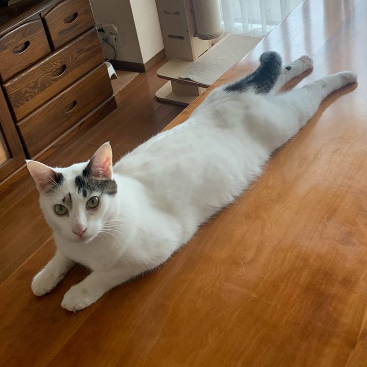 650ef83c 4c86 4e41 a720 f1b96b178ef9 1746842376110