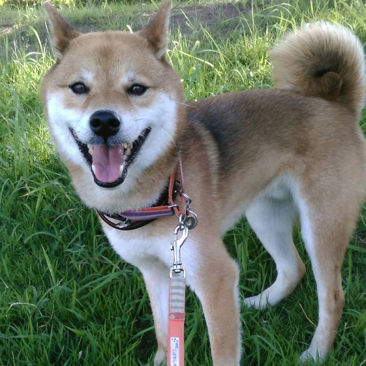 650efcba 38c3 4e85 b4fb 8aec1d000c6a 1530227376269