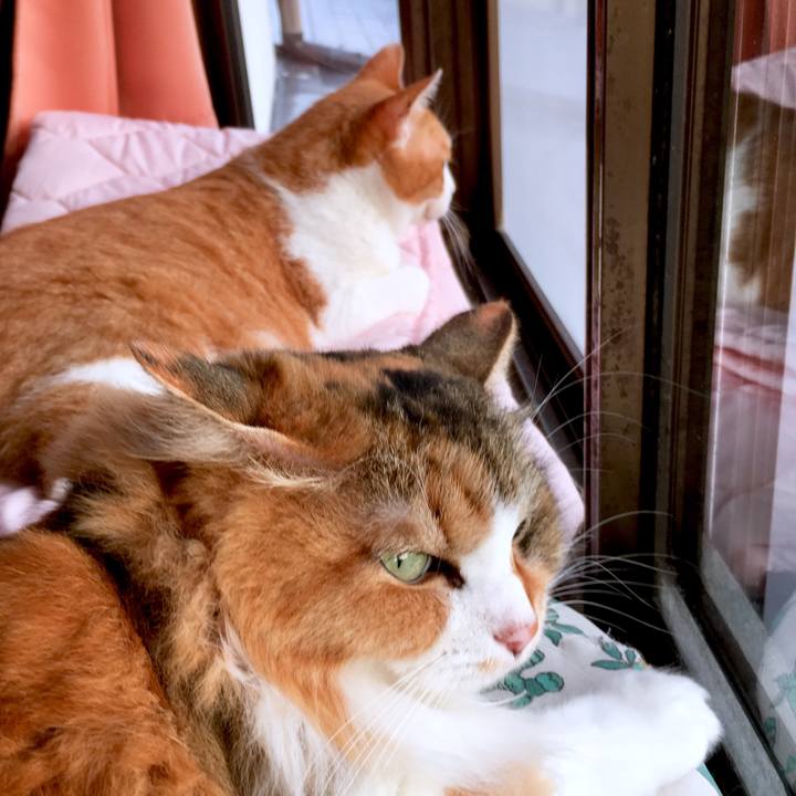 650f02fa 616e 4d82 b070 c8a578176bd5 1568774091296