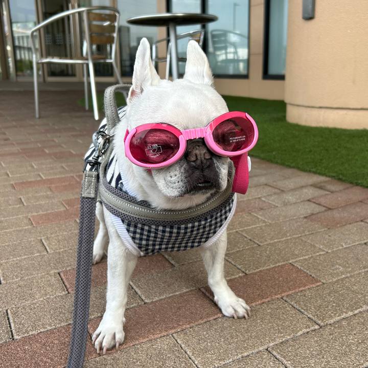 650f0857 fe05 4f9b a1b3 9e905ab73c22 1746968398261