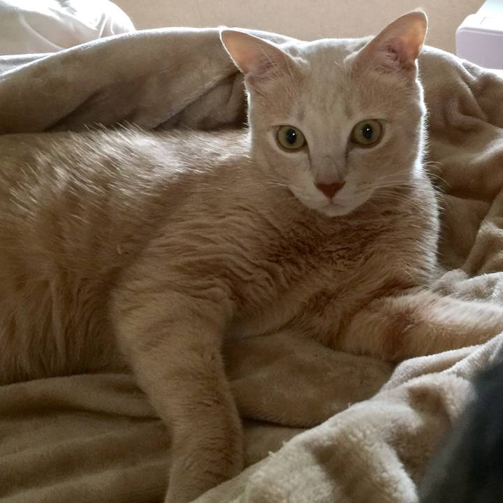 650f0ba7 3d50 451a 8fc2 c0379d93c7ed 1524375532886